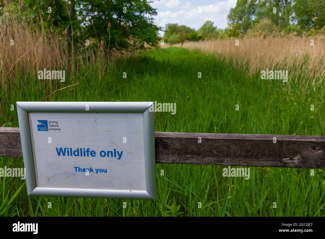 Panneau animaux sauvages uniquement RSPB Banque D'Images