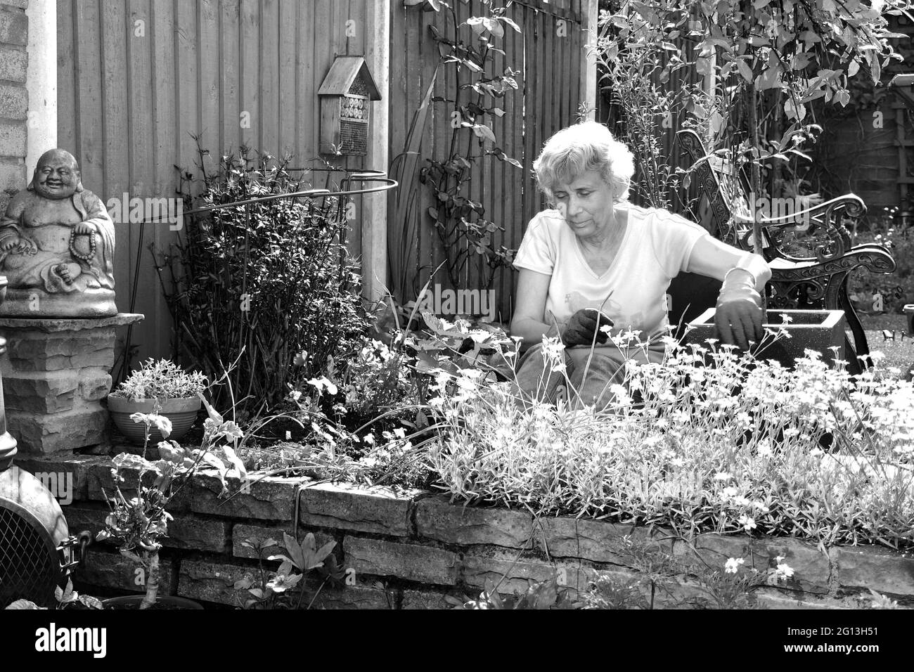Femme assistant à son jardin Banque D'Images