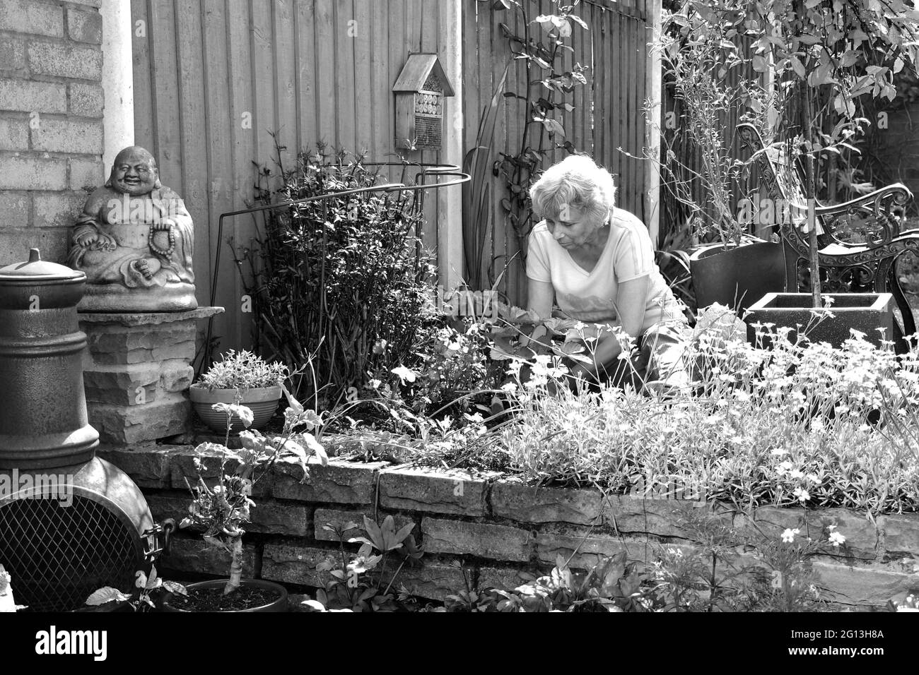 Femme assistant à son jardin Banque D'Images