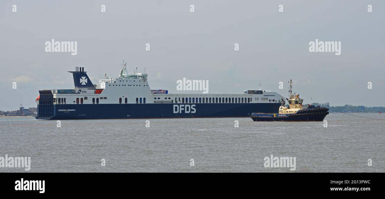 Le ferry DFDS Gardenia Seaways s'approche de Harwich Dock avec un remorqueur en avant-sol. Banque D'Images