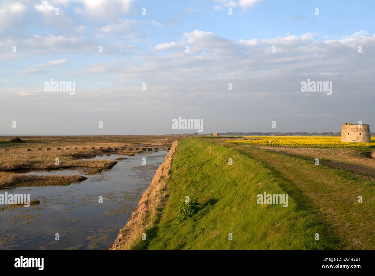 Guerre mondiale deux blocs de béton anti-invasion et Martello Tower Shingle Street Suffolk Royaume-Uni Banque D'Images