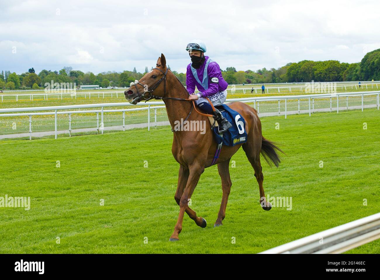 David Probert à cheval Tribal Craft avant le début d'une course à l'hippodrome de York. Banque D'Images