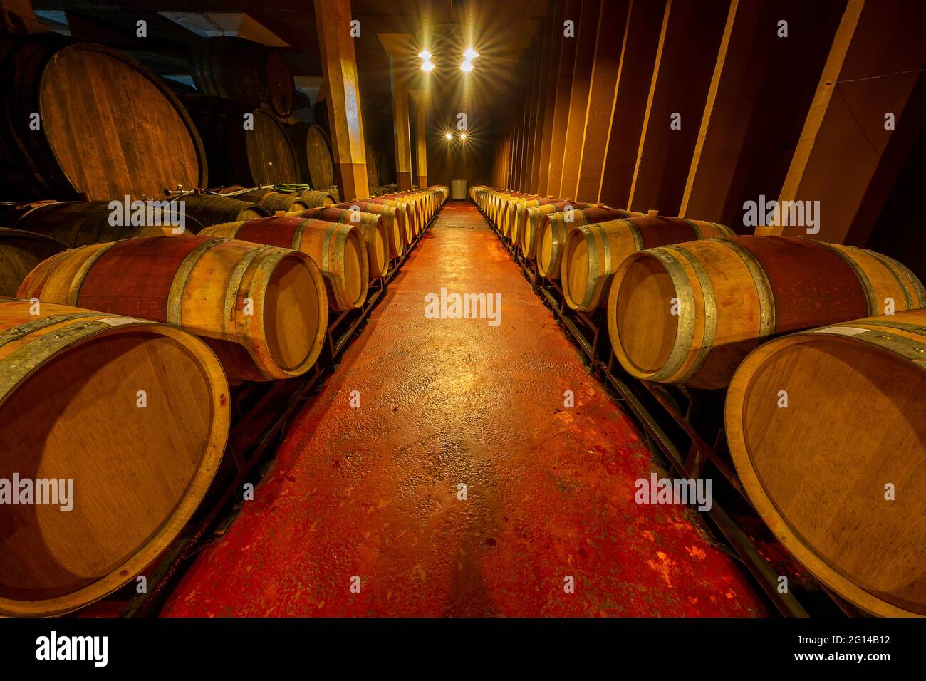 Fûts de vin dans la cave à Gjakova, Kosovo Banque D'Images