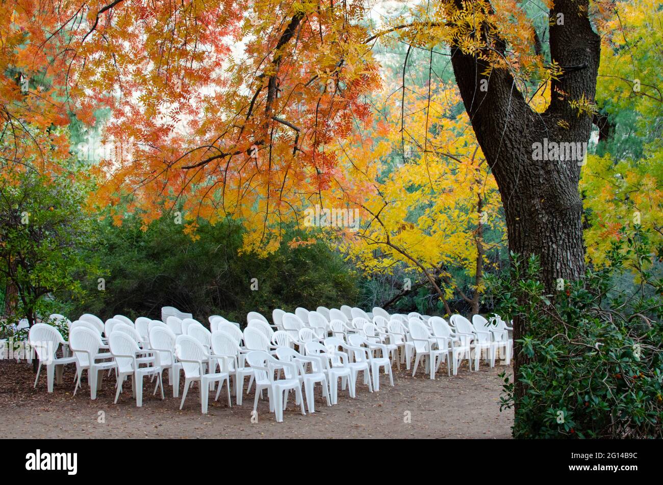 Vider les chaises sous l'arbre avec la couleur d'automne Banque D'Images