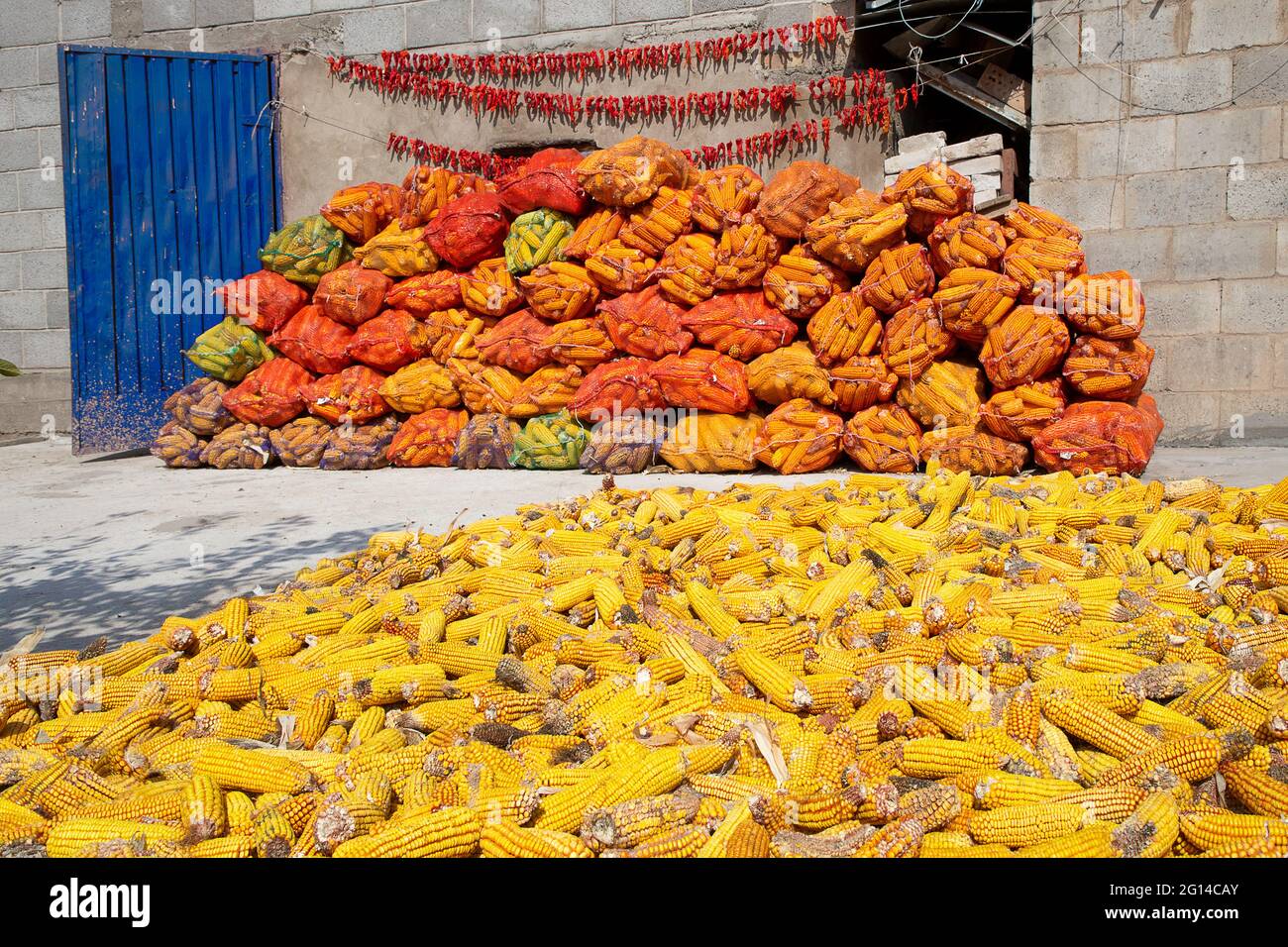 Cornes et poivrons séchant dans le village, Kirghizistan Banque D'Images