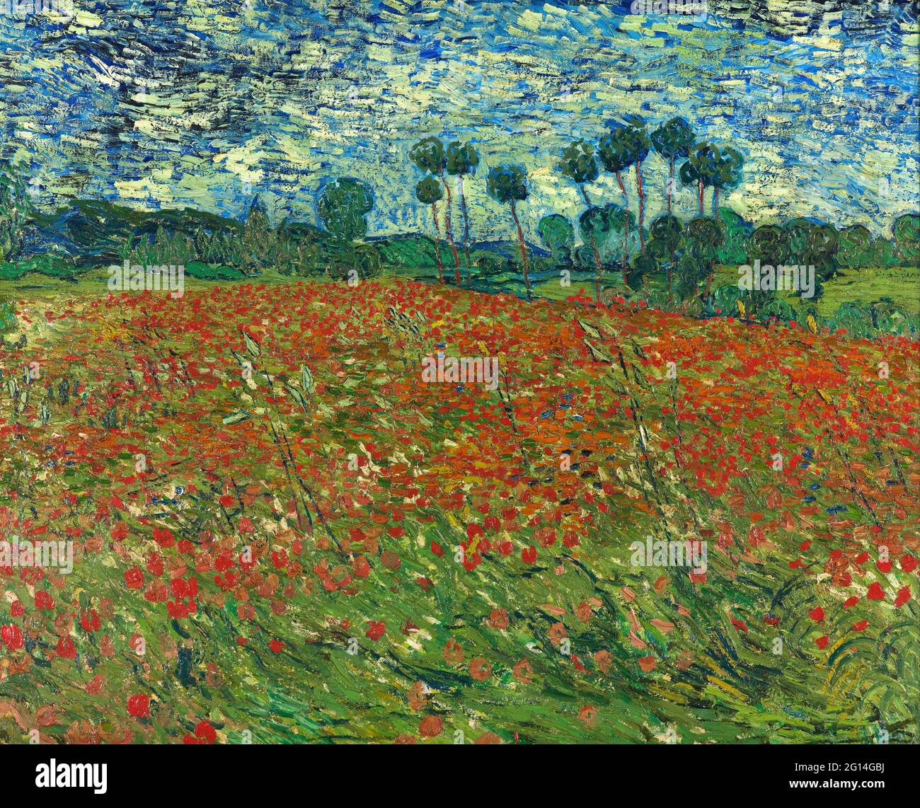 Vincent Van Gogh - terrain de coquelicot Banque D'Images