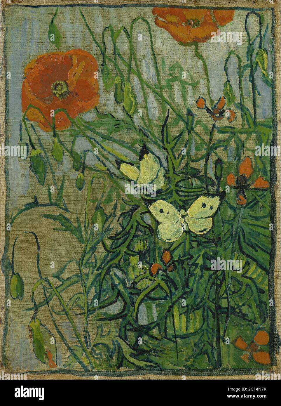 Vincent van Gogh - papillons et coquelicots Banque D'Images