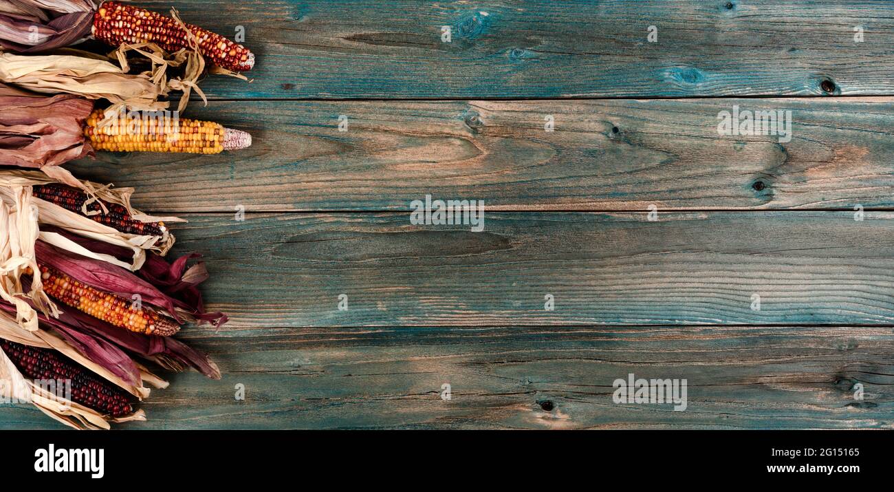 Maïs coloré séché sur des planches de bois bleu pâle pour Halloween ou Thanksgiving concept de fond Banque D'Images