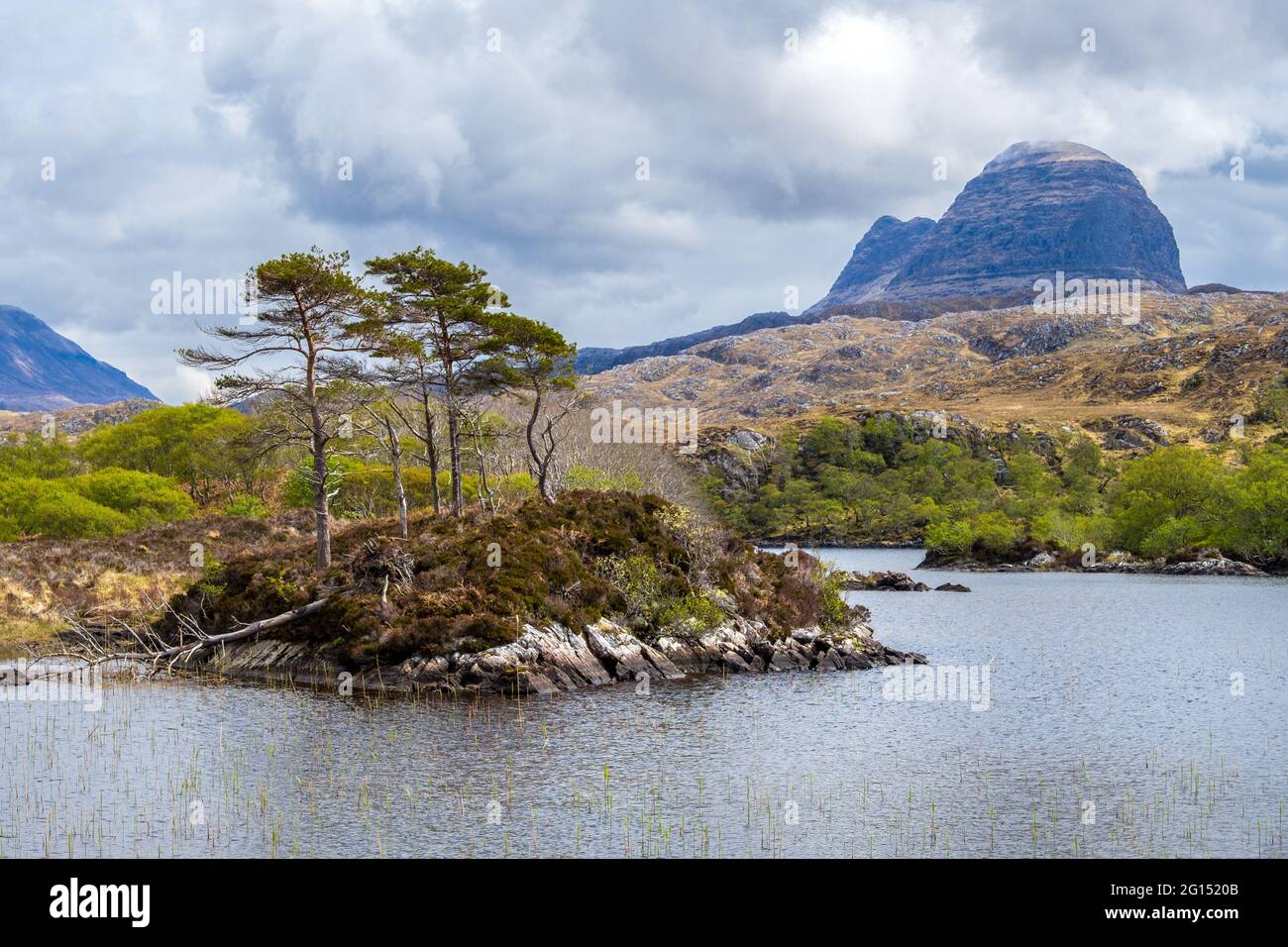Paysage à Glen Canisp dans la région d'Assynt des Highlands du Nord-Ouest de l'Écosse. Montagne de Suiven au loin Banque D'Images