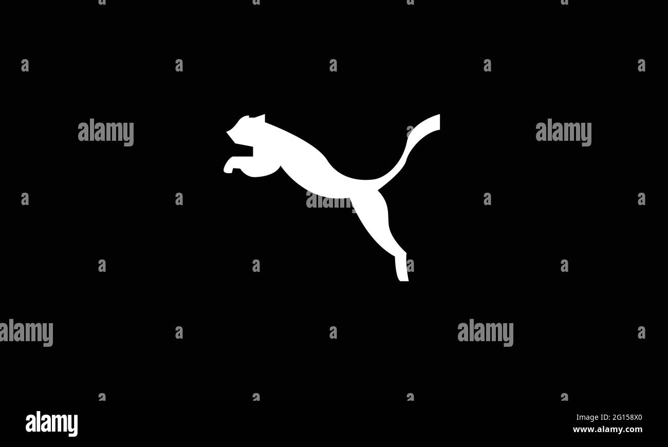 Motif animal léopard vectoriel Illustration de Vecteur