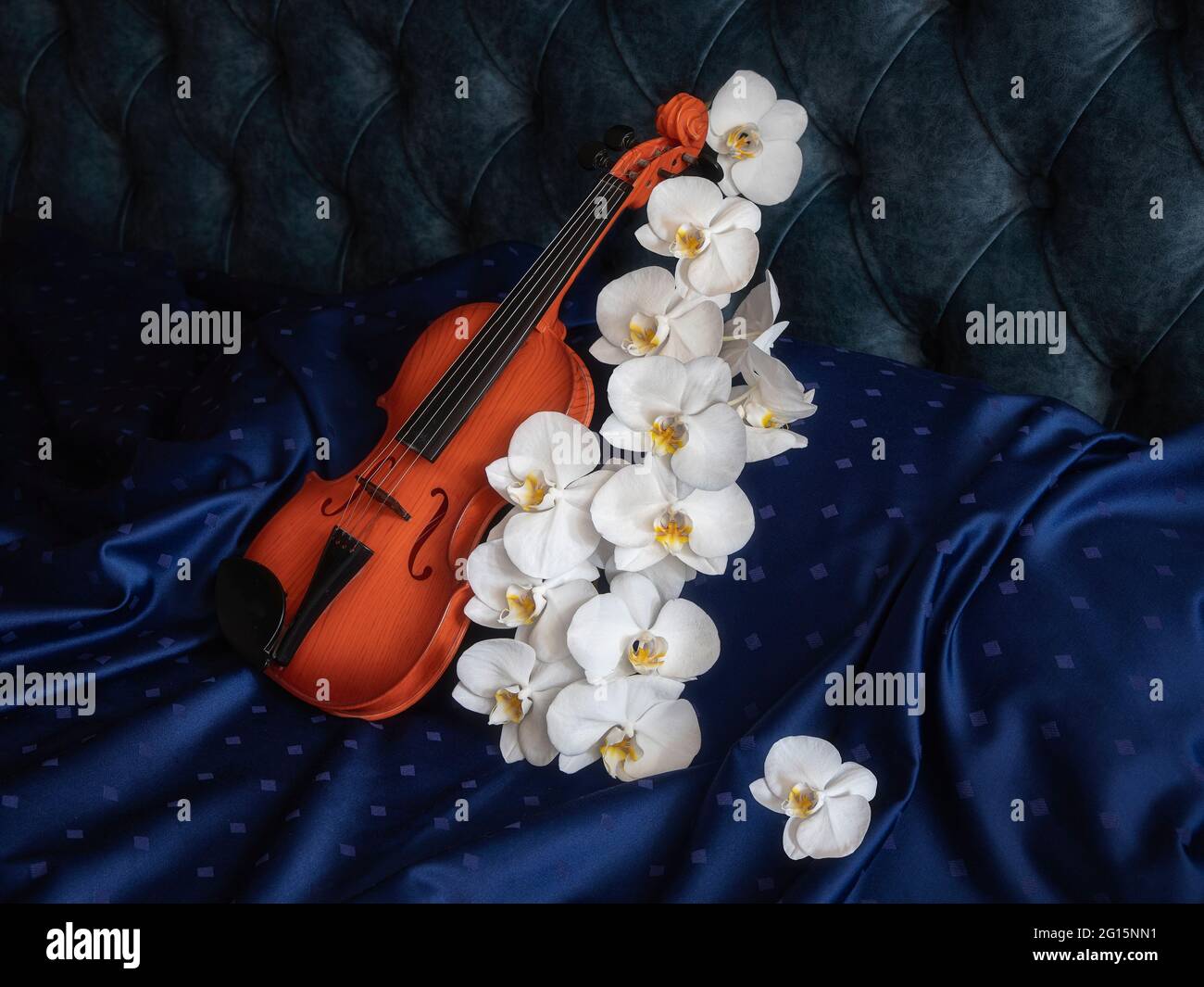 Encore la vie avec le violon et les fleurs Banque D'Images