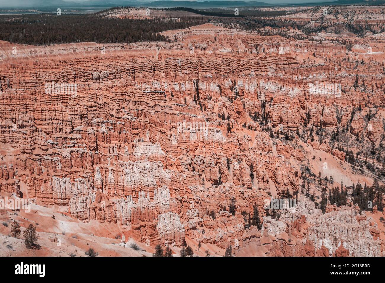 Amphithéâtre naturel et formation de rochers de pinacle dans le parc national de Bryce Canyon, Utah, États-Unis Banque D'Images