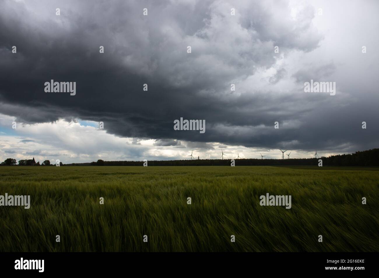 des nuages orageux dans le ciel et le vent se balayant à travers le champ agricole et le parc éolien à l'horizon pour produire de l'énergie propre Banque D'Images