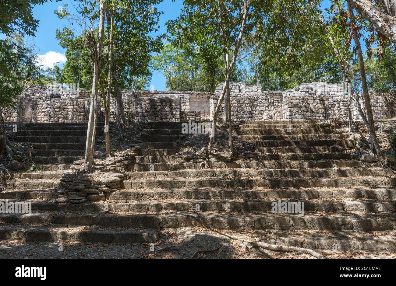 Les ruines du temple de l'ancienne ville maya de Calakmul, Campeche, Mexique Banque D'Images