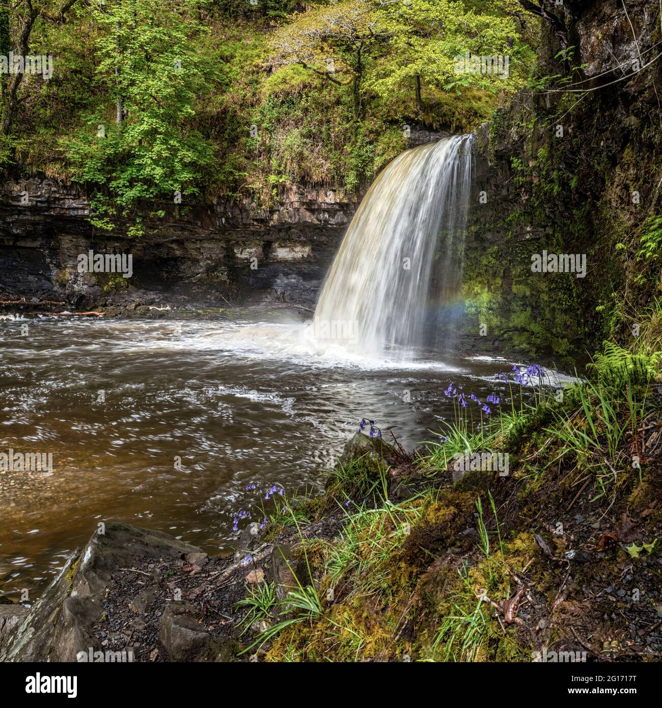 Cascade de Lady Falls dans le sud du pays de Galles Banque D'Images