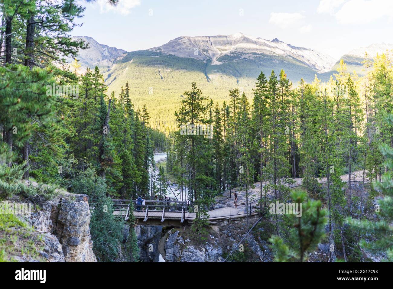 Sunwapta tombe dans les montagnes rocheuses canadiennes, Alberta, Canada, 2016 Banque D'Images