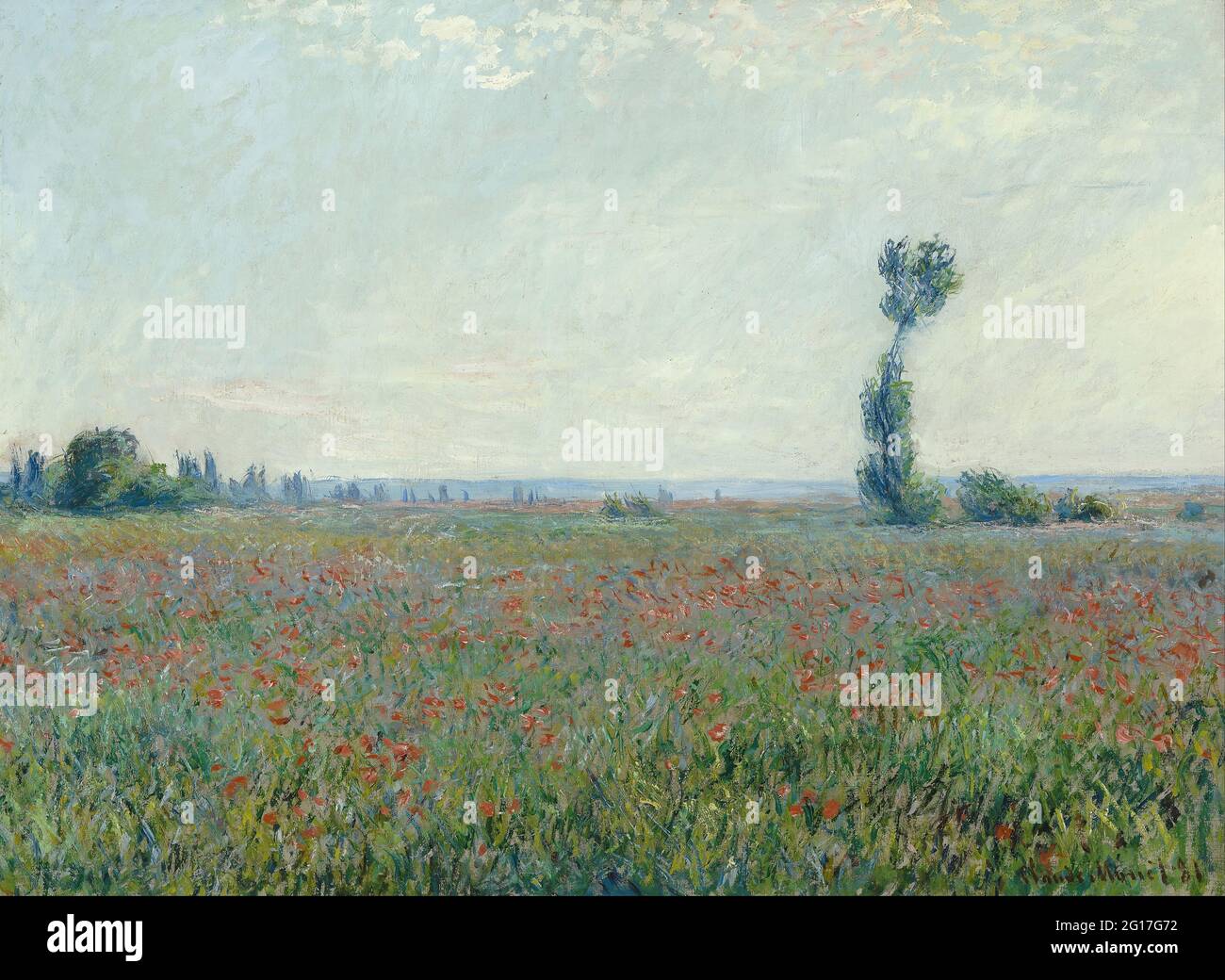Claude Monet - champ de coquelicots (430231) Banque D'Images