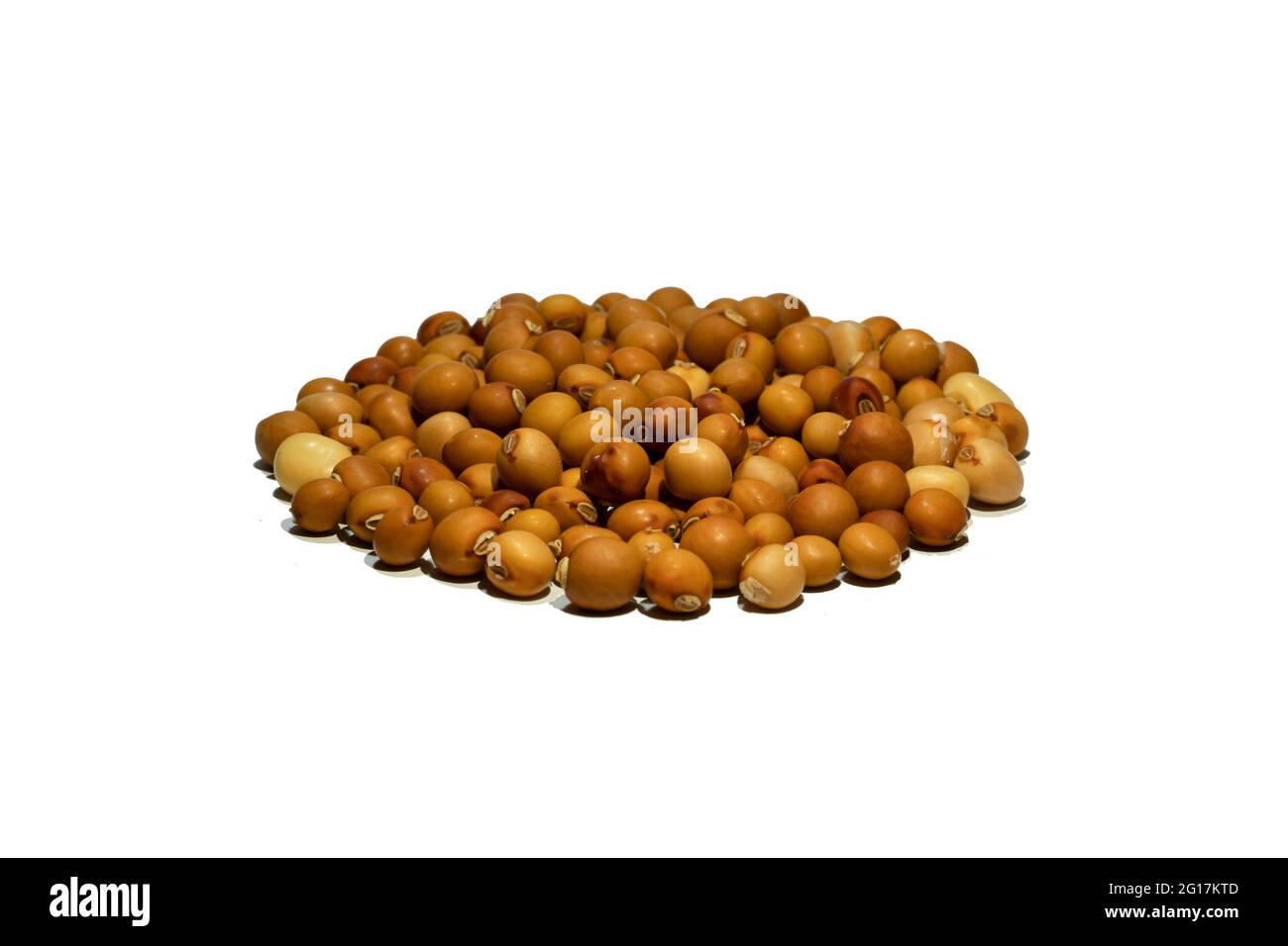 Graines de soja de couleur rouge et brune de la famille des Leguminosae que savoureuses graines alimentaires sur bg blanc isolé Banque D'Images