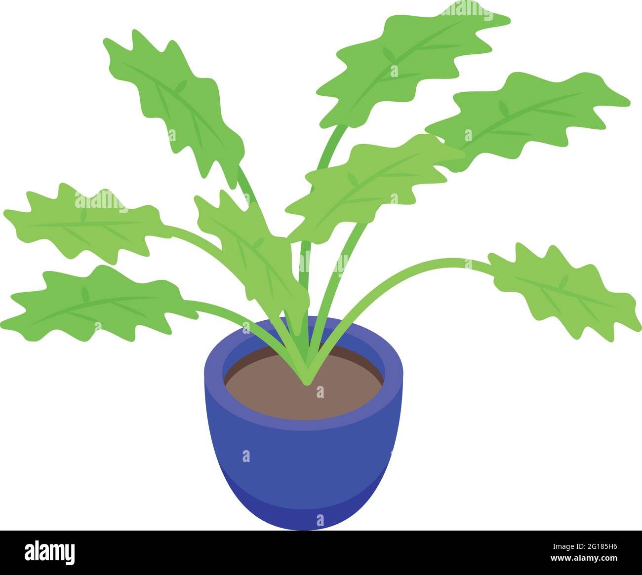 Icône de pot de plantes à grandes feuilles. Icône vectorielle isométrique de pot de plantes à grandes feuilles pour la conception de sites Web isolée sur fond blanc Illustration de Vecteur