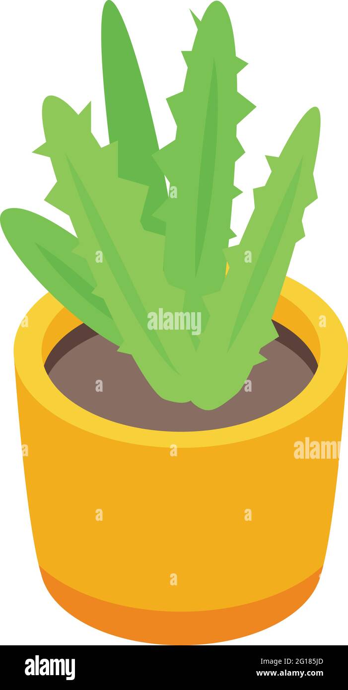 Icône de pot de plantes biologiques. Isométrique de l'icône de vecteur de pot de plante biologique pour la conception de Web isolée sur fond blanc Illustration de Vecteur