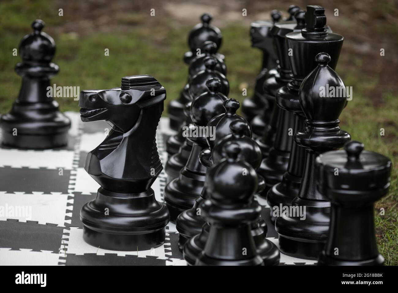 Image de faible profondeur de champ (mise au point sélective) avec jeu d'échecs de jardin. Banque D'Images
