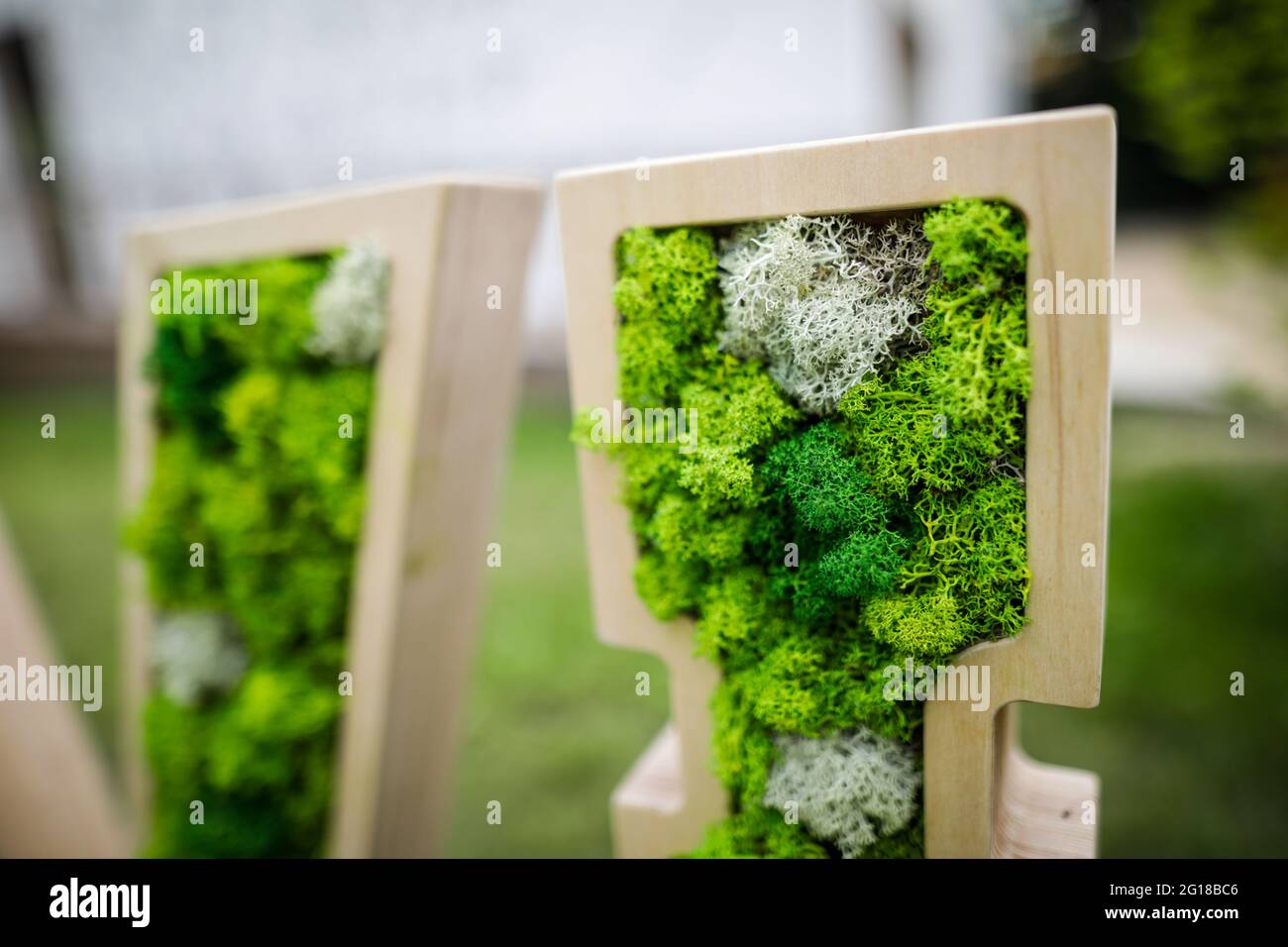 Image de faible profondeur de champ (mise au point sélective) avec mousse stabilisée et lichen utilisés dans l'architecture. Banque D'Images