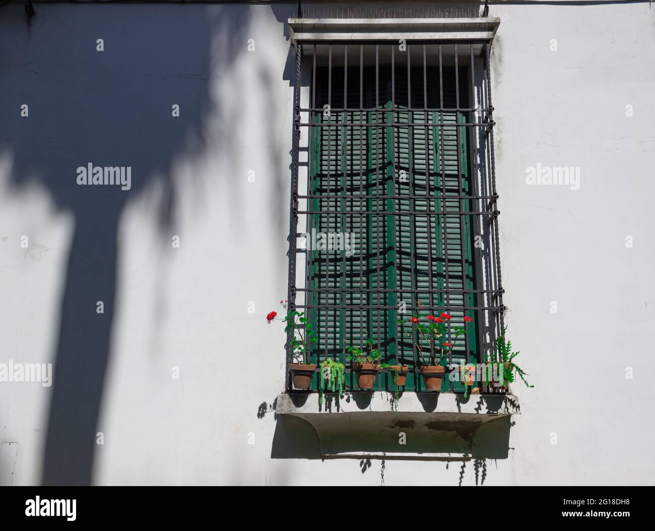Vieille fenêtre avec des bars et des fleurs par temps ensoleillé. Banque D'Images