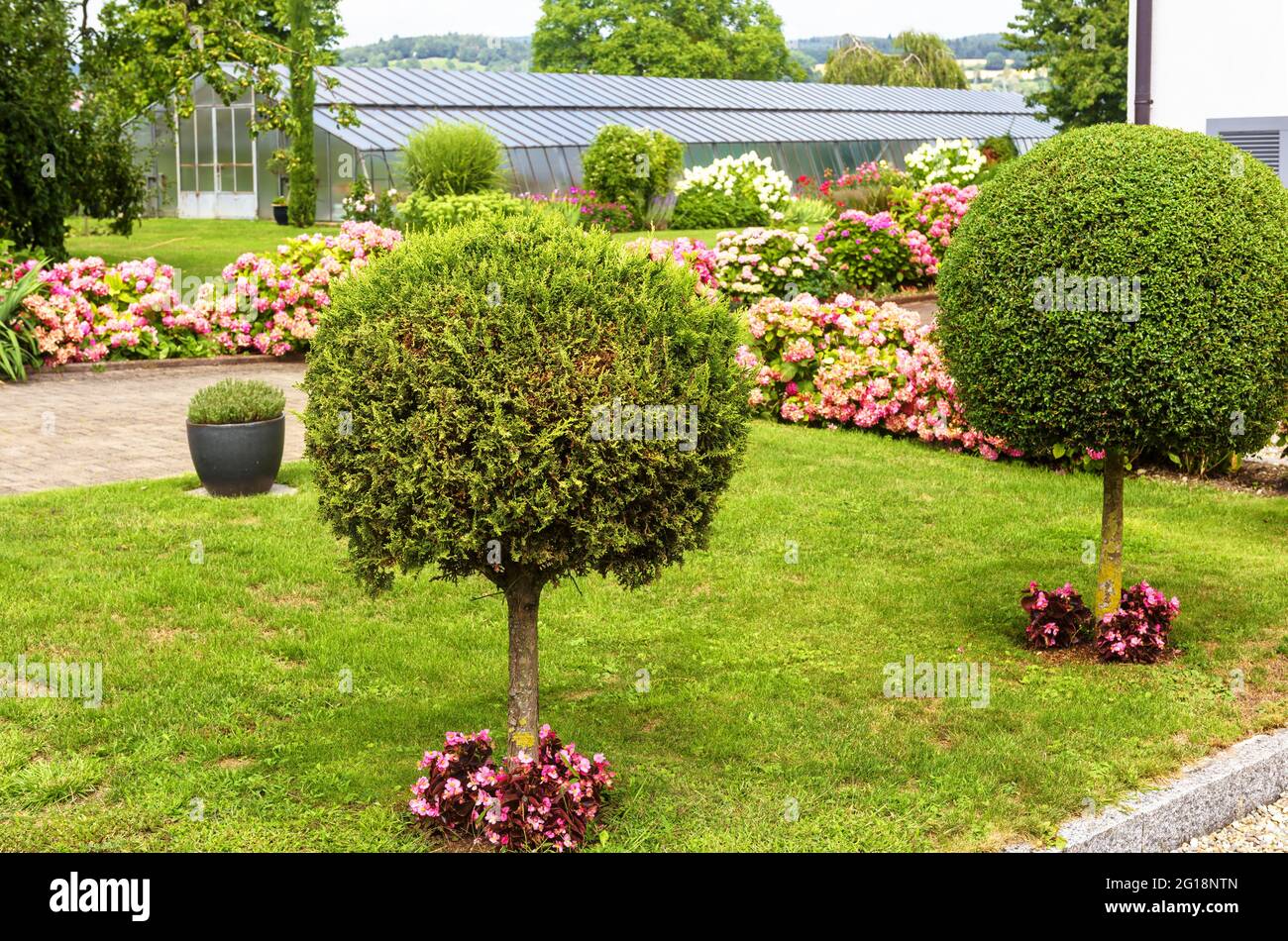 Aménagement paysager avec plantes, fleurs et topiaire à la maison résidentielle à l'île de Reichenau, Allemagne. Beau jardin de maison paysagé près du lac Constance. Banque D'Images
