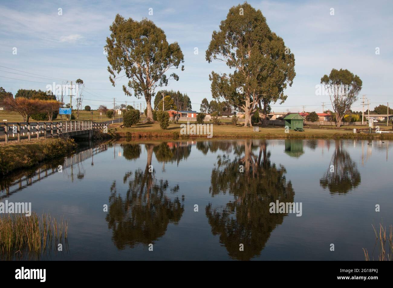 Le lac Waratah, un habitat pour le ornithorynque semi-aquatique endémique de la ville historique de Waratah, dans le nord-ouest de la Tasmanie, en Australie Banque D'Images