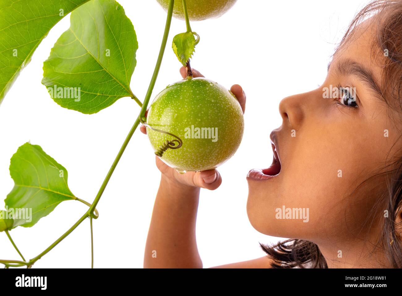 Une jeune fille essayant de mordre des fruits frais de la passion verte sur la vigne avec fond blanc, isolé Banque D'Images