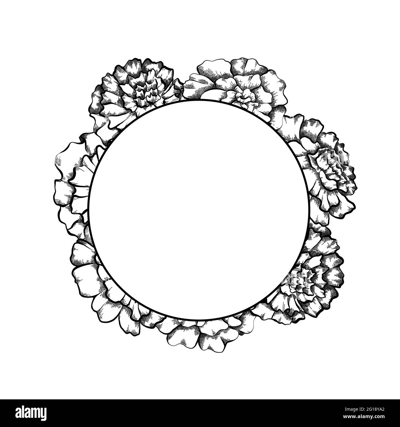 Cadre rond avec croquis monochrome des marigolds et espace de copie. Cartes d'invitation avec tête de fleur. Modèle naturel de contour vectoriel pour cartes postales. La flore Illustration de Vecteur