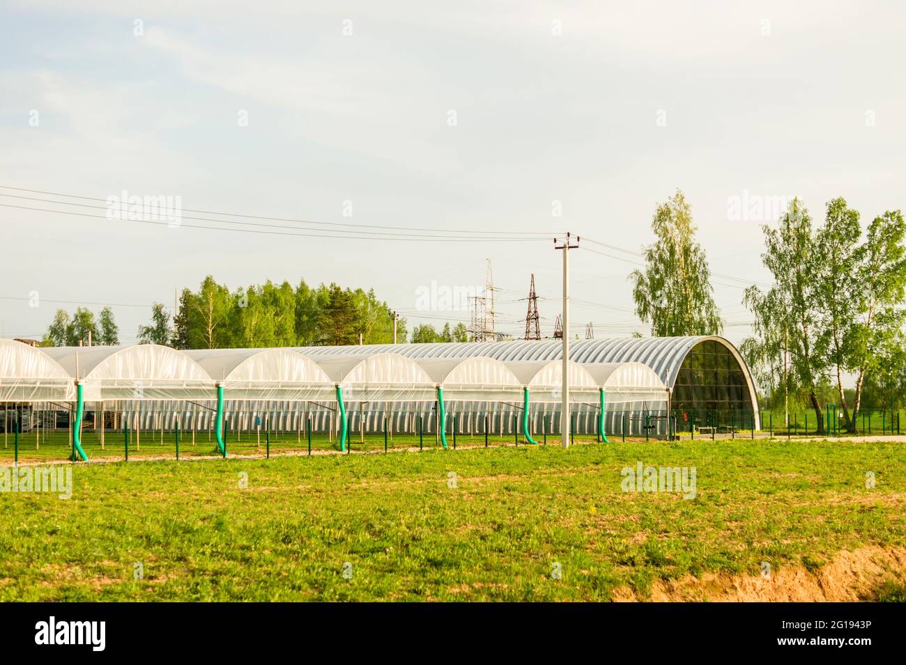 Serres en verre commerciales. Production industrielle de légumes et de fleurs de haute technologie Banque D'Images Serres en verre commerciales. Production industrielle de légumes et de fleurs de haute technologie Banque D'Images