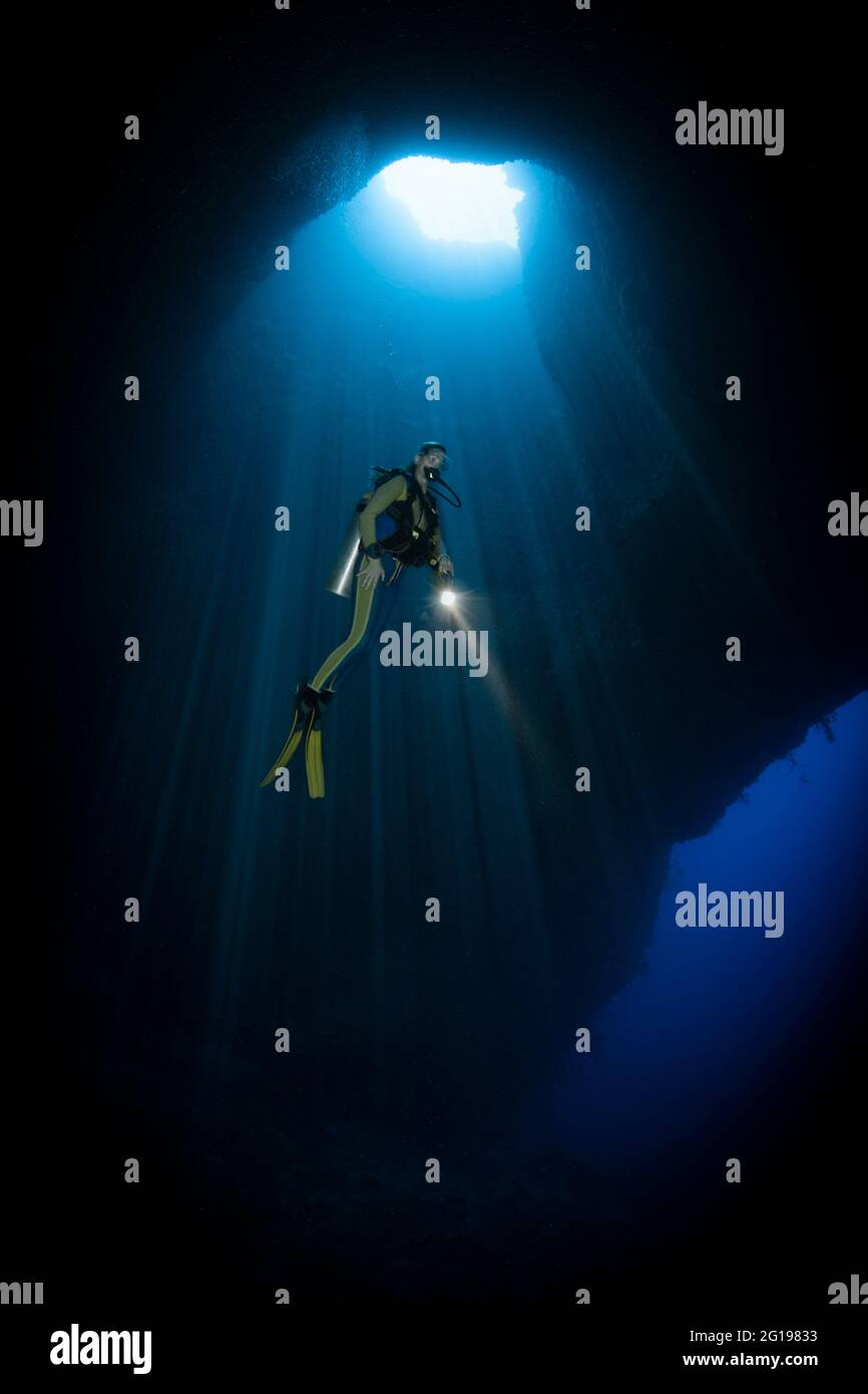 Plongée sous-marine dans la grotte Blue Hole, Micronésie, Palau Banque D'Images