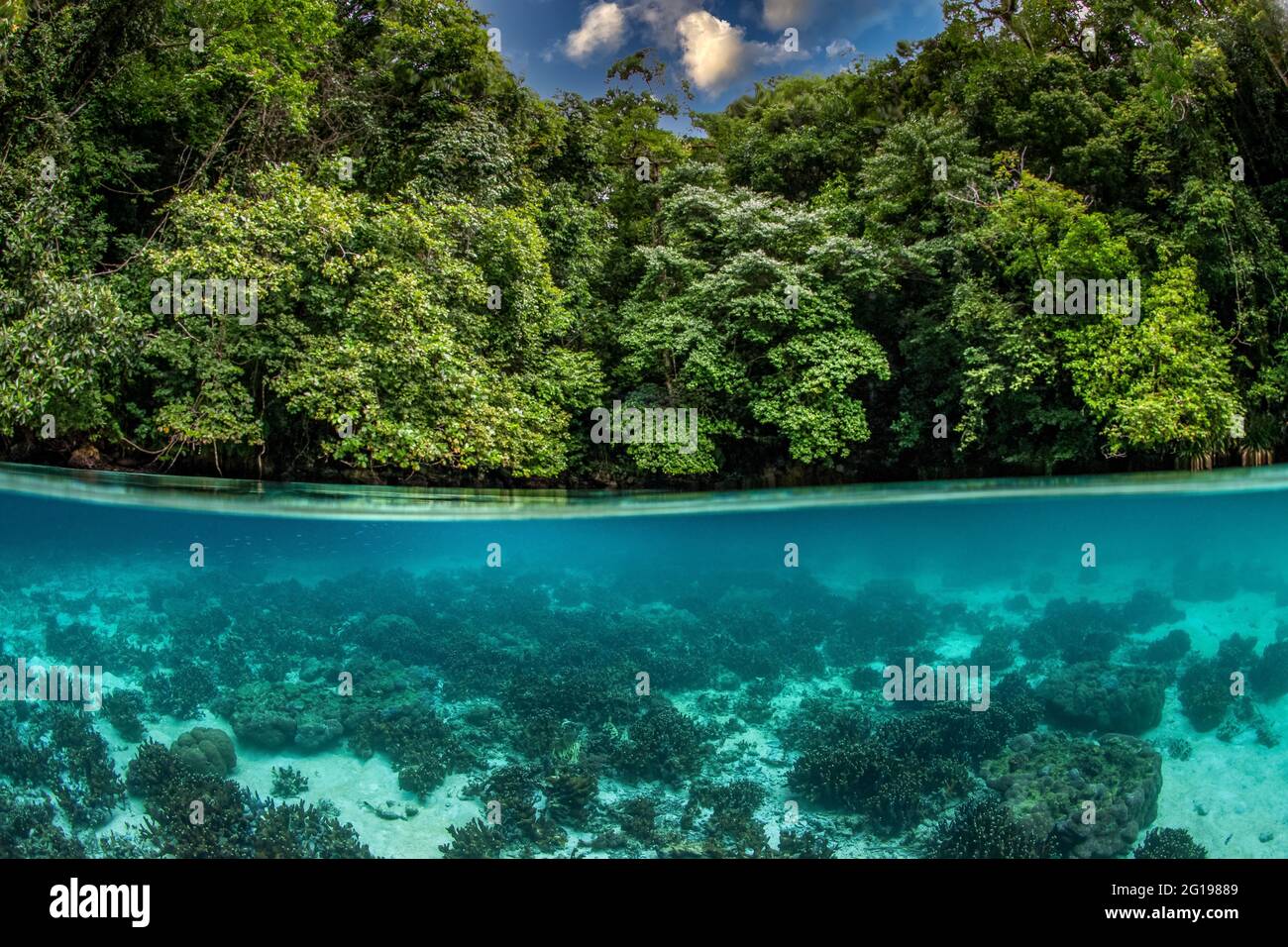 Rock Islands, Risong Bay, Micronésie, Palaos Banque D'Images