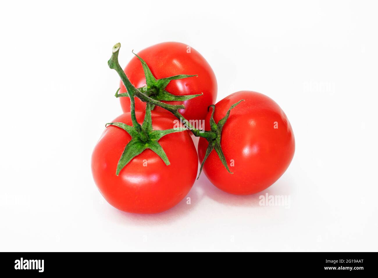 Tomates. Trois tomates sur une branche. Tomates entières, sur blanc. Profondeur de champ complète. Banque D'Images