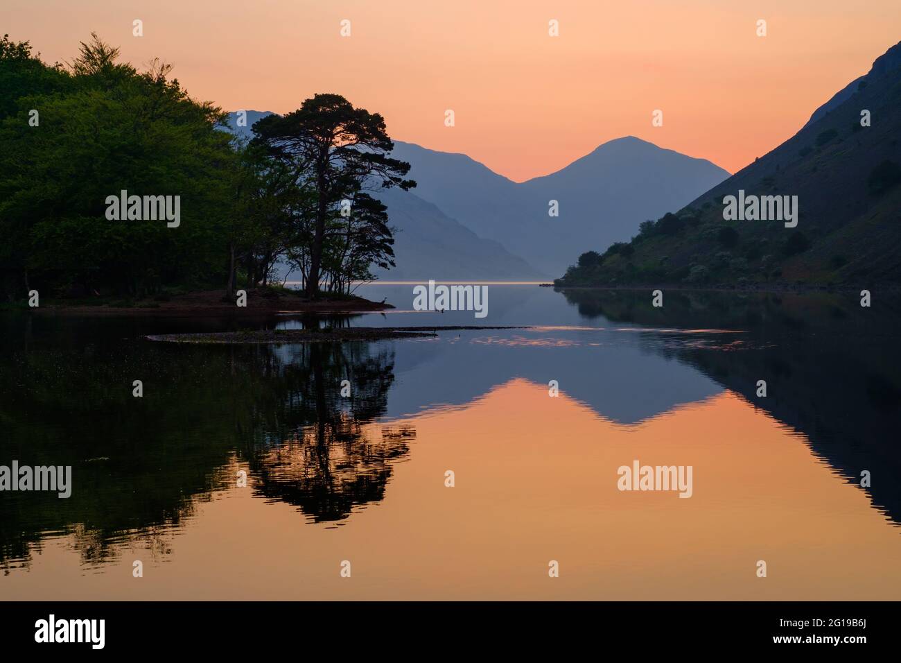 Un héron regarde sous un arbre tandis qu'un canard et deux canetons nagent loin de la banque, Wastwater au lever du soleil, Lake District. Banque D'Images