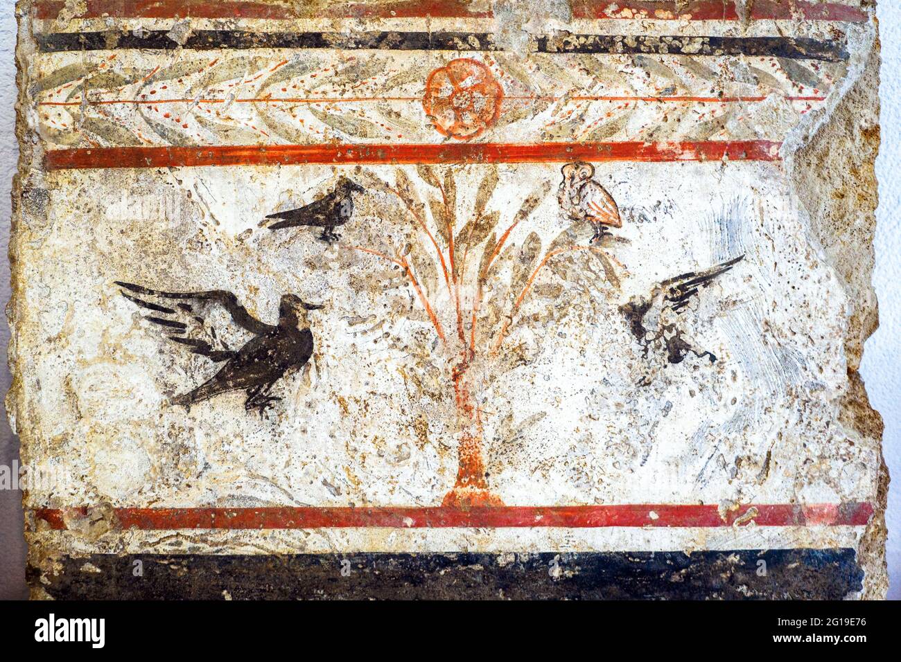 Fresque représentant l'arbre avec les oiseaux Andriuolo, Tombeau 21 - dalle orientale des premières décennies du 4ème siècle av. J.-C. - zone archéologique de ​​Paestum - Salerno, Italie Banque D'Images