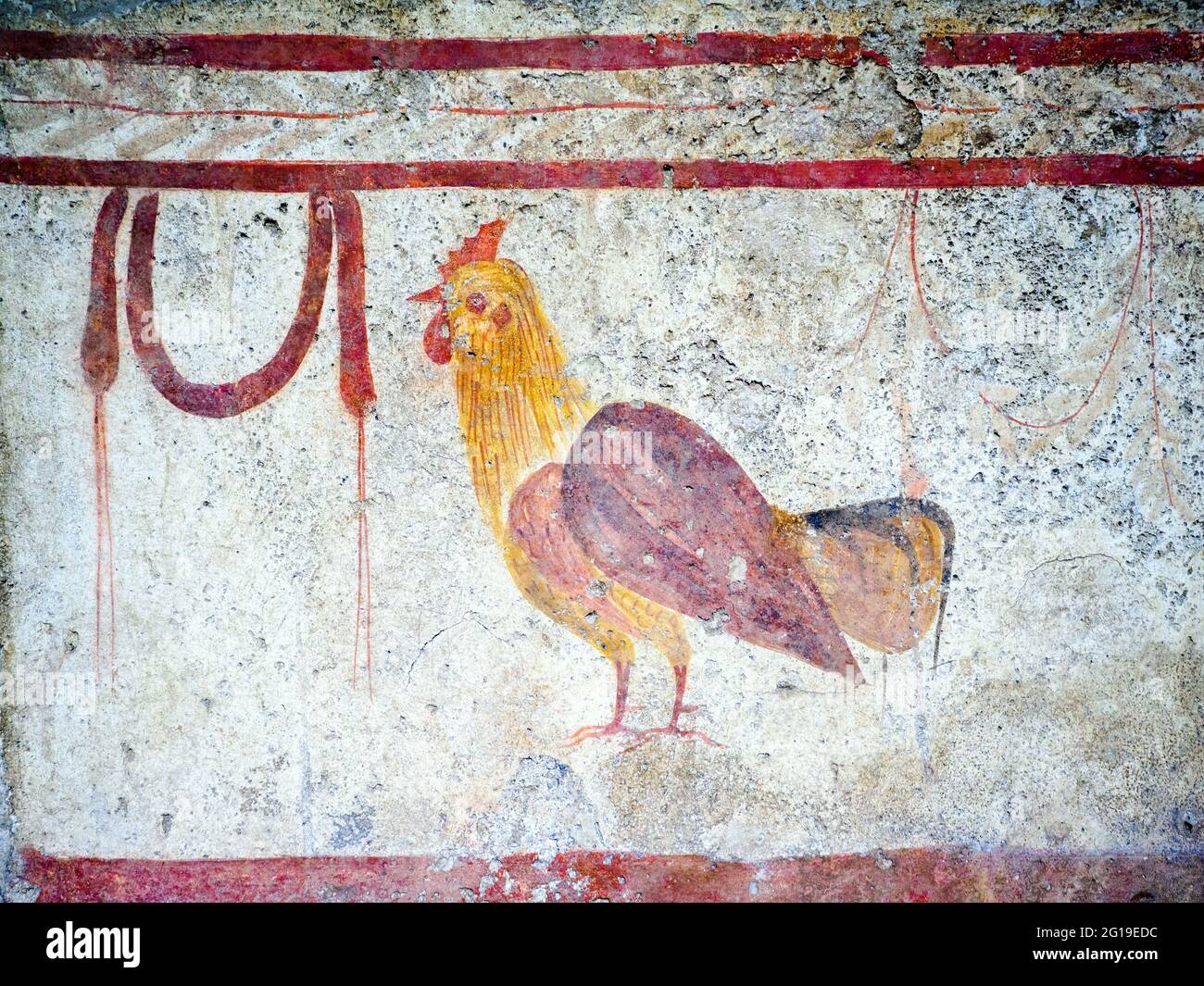 Fresque représentant le coq e festone Vannulo, Tombeau 4 - dalle orientale (350 av. J.-C.) - zone archéologique de ​​Paestum - Salerno, Italie Banque D'Images