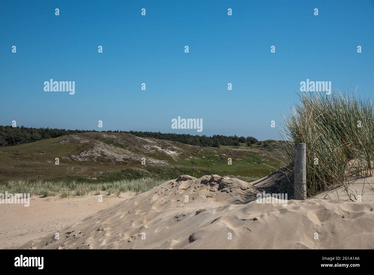 Den Helder, pays-Bas, 30 mai 2021. Dunes près du bord de mer de Den Helder, aux pays-Bas. . Photo de haute qualité Banque D'Images