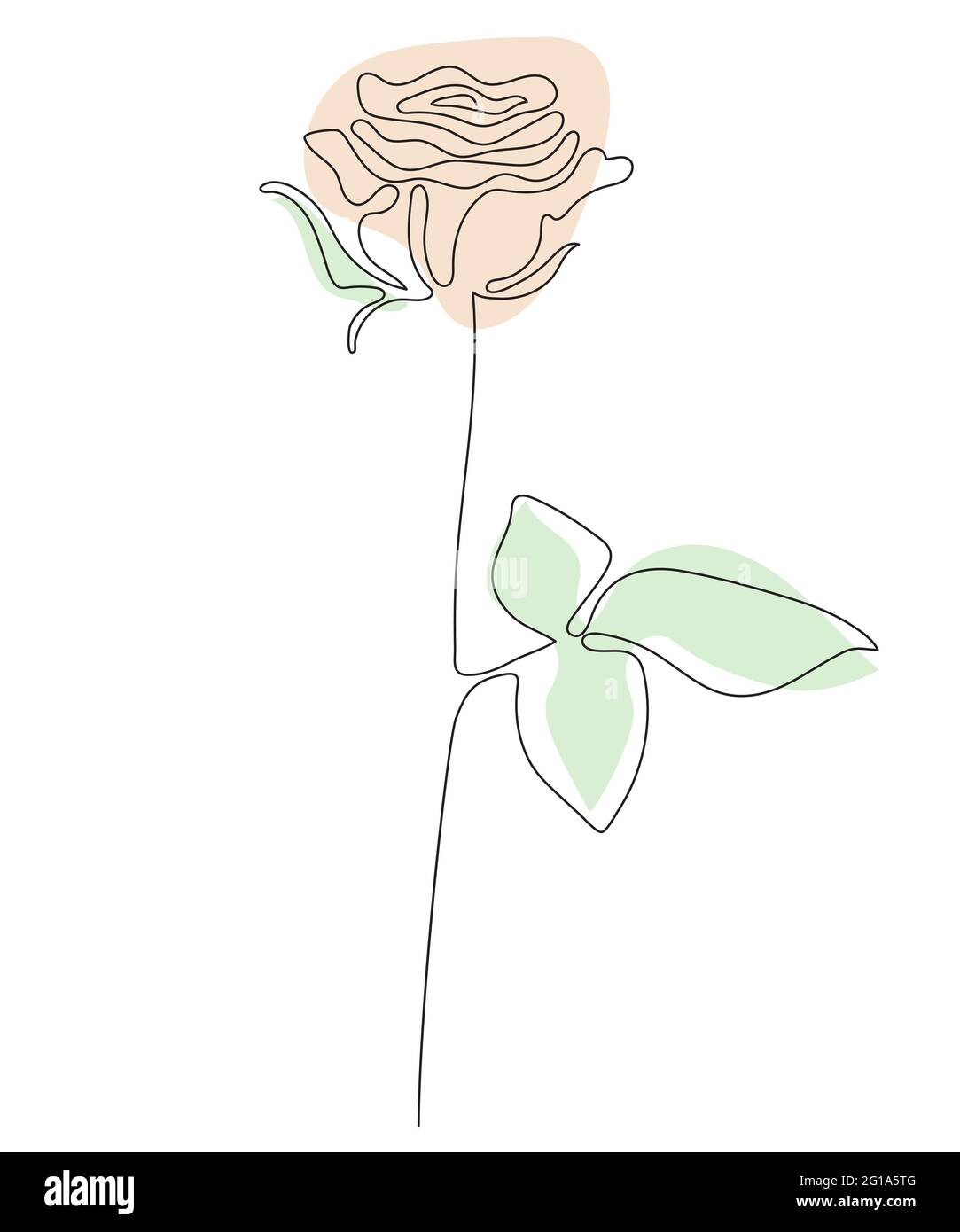 Rose Line art - belle fleur. Illustration vectorielle. Tracé de ligne  continu et taches colorées. Motif fleuri minimaliste abstrait pour  couverture, imprimés, Ho Image Vectorielle Stock - Alamy