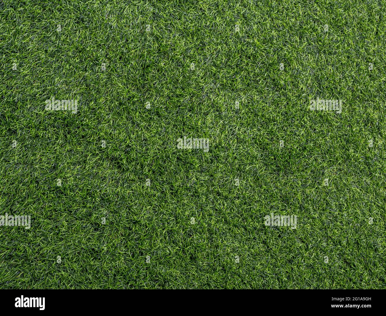 Texture d'herbe artificielle en plastique de cour d'école Banque D'Images