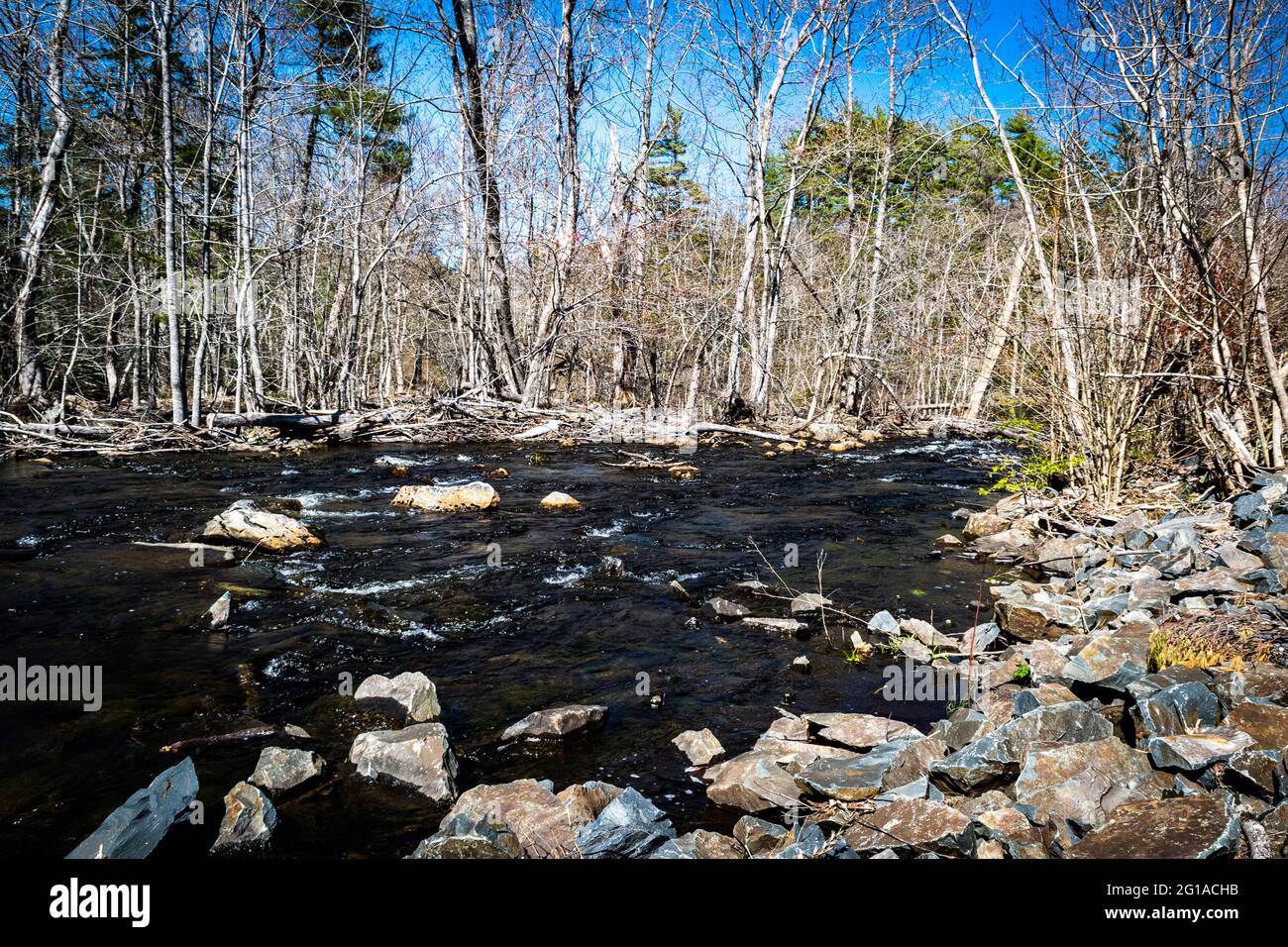Un petit ruisseau qui s'éloigne du barrage du lac Kearney au début du printemps, en nouvelle-écosse, au canada Banque D'Images