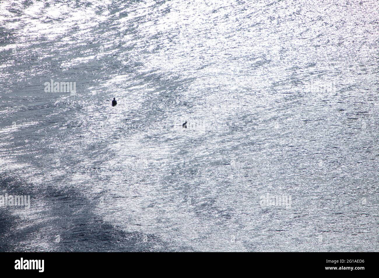Baignade dans les eaux claires pour les vagues pour surfer sur la belle plage de la palue, Crozon, Bretagne, France Banque D'Images