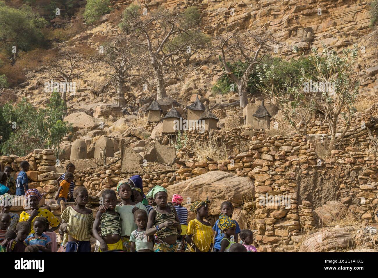 Le Dama, danse masquée des Dogon, Mali Banque D'Images