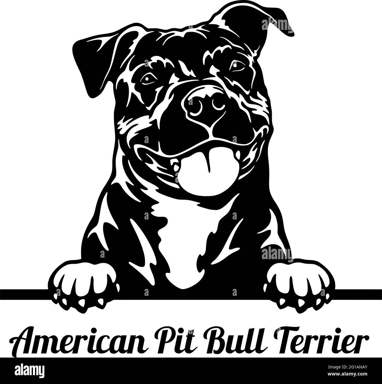 American Pit Bull Terrier Peeking Dog - tête isolée sur blanc - vecteur Illustration de Vecteur