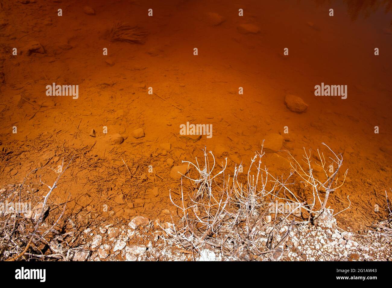 Rive d'un lac toxique dans une mine de fonte abandonnée. Eau acide rouge riche en métaux lourds, plantes mortes couvertes de produits chimiques Banque D'Images