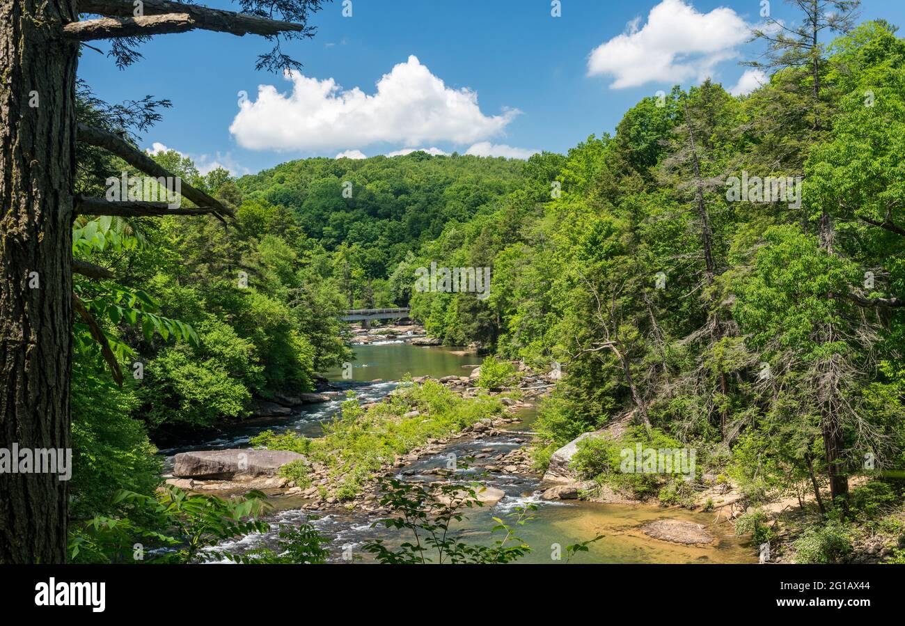 La rivière traverse le parc national d'Audra près de Buckhannon, en Virginie-Occidentale Banque D'Images