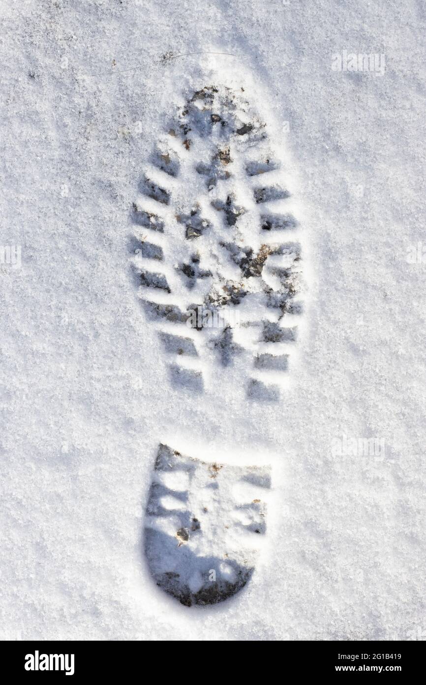 Un gros plan d'une empreinte fraîche lors d'une promenade matinale est pris à travers la neige en poudre Banque D'Images