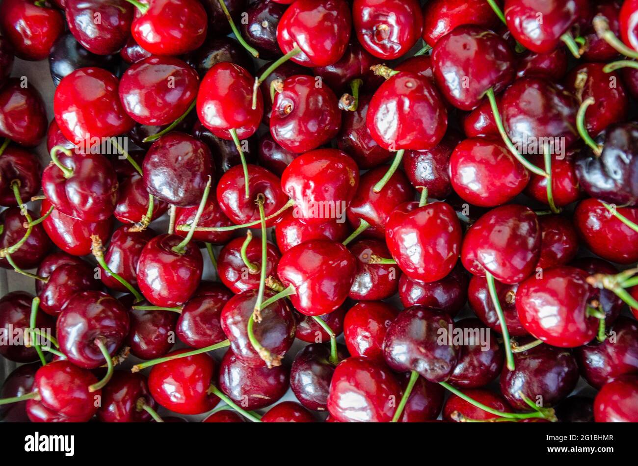 En regardant vers le bas une boîte de cerises fraîches et rouges. Banque D'Images