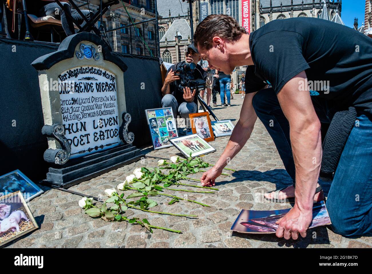 Un activiste laisse une rose blanche devant une fausse pierre tombale pendant la journée de commémoration des animaux à Amsterdam. À Amsterdam, des centaines d'activistes pour les animaux se sont réunis pour commémorer les milliards d'animaux qui meurent chaque année par des mains humaines, pour éduquer le public sur les alternatives sans cruauté et basées sur des plantes, Et célébrez les progrès accomplis vers la fin de la souffrance des animaux lors de la Journée nationale des droits des animaux (NARD) célébrée chaque année le premier dimanche de juin. (Photo par Ana Fernandez/SOPA Images/Sipa USA) Banque D'Images